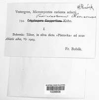 Image Associated With the Occurence